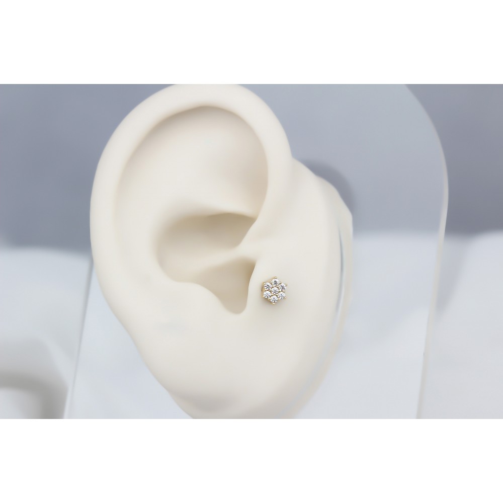 Glorria Altın Yonca Tragus Piercing Glorria Altın Yonca Tragus Piercing