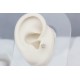 Glorria Altın Yonca Tragus Piercing Glorria Altın Yonca Tragus Piercing