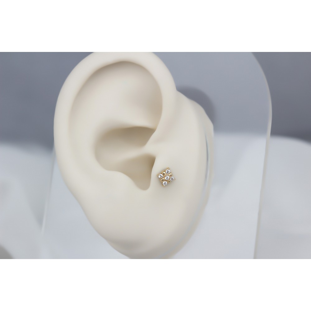 Glorria Altın Yonca Tragus Piercing Glorria Altın Yonca Tragus Piercing