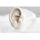 Glorria Altın C Harfi Tragus Piercing Glorria Altın C Harfi Tragus Piercing