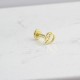 Glorria Altın D Harfi Tragus Piercing Glorria Altın D Harfi Tragus Piercing