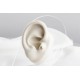 Glorria Altın E Harfi Tragus Piercing Glorria Altın E Harfi Tragus Piercing