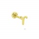 Glorria Altın Koç Burcu Tragus Piercing Glorria Altın Koç Burcu Tragus Piercing