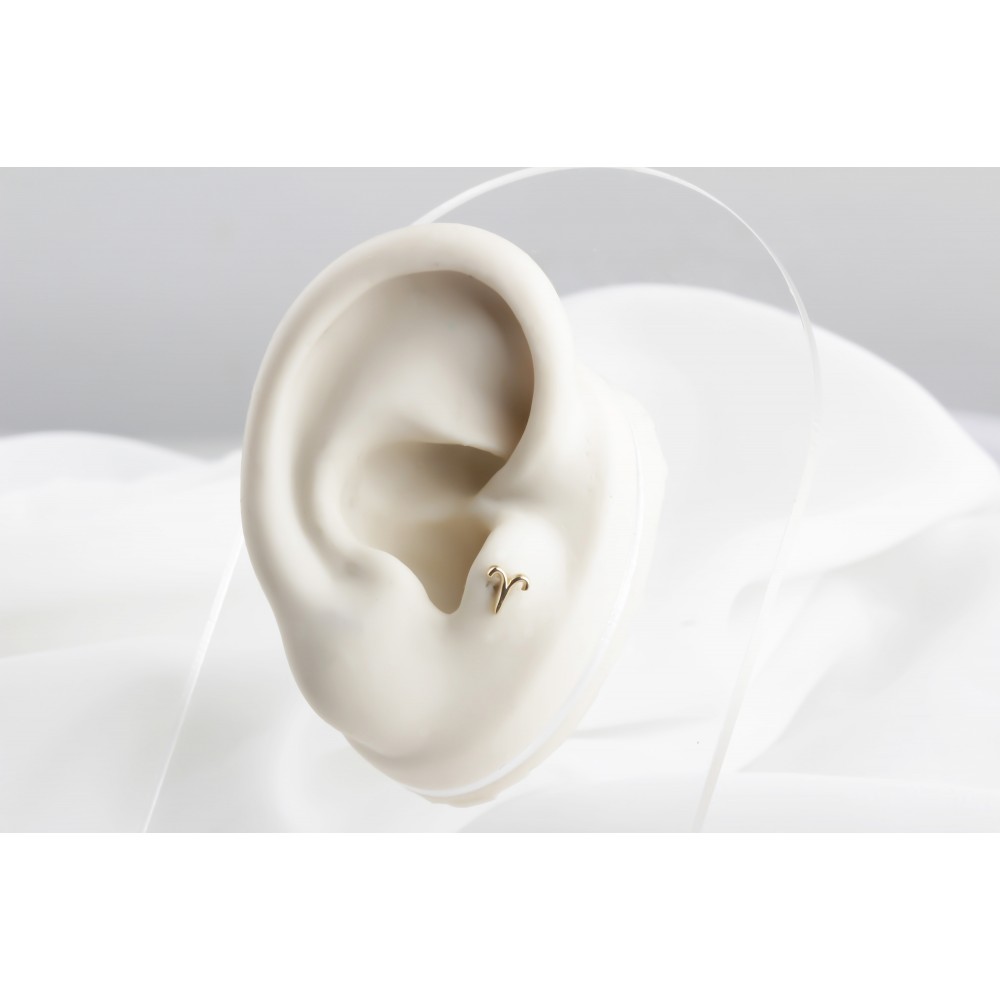 Glorria Altın Koç Burcu Tragus Piercing Glorria Altın Koç Burcu Tragus Piercing