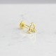 Glorria Altın Aslan Burcu Tragus Piercing Glorria Altın Aslan Burcu Tragus Piercing