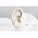 Glorria Altın Başak Burcu Tragus Piercing Glorria Altın Başak Burcu Tragus Piercing