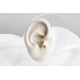 Glorria Altın Akrep Burcu Tragus Piercing Glorria Altın Akrep Burcu Tragus Piercing