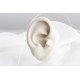 Glorria Altın Kova Burcu Tragus Piercing Glorria Altın Kova Burcu Tragus Piercing